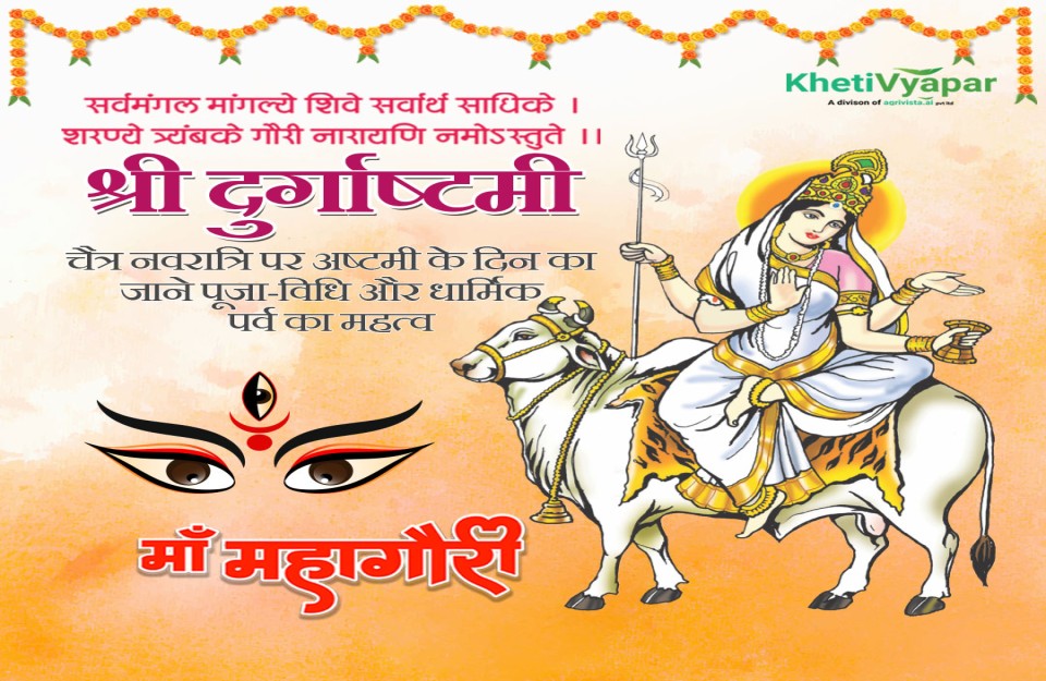 चैत्र नवरात्रि पर अष्टमी के दिन का जाने पूजाविधि और धार्मिक पर्व का
